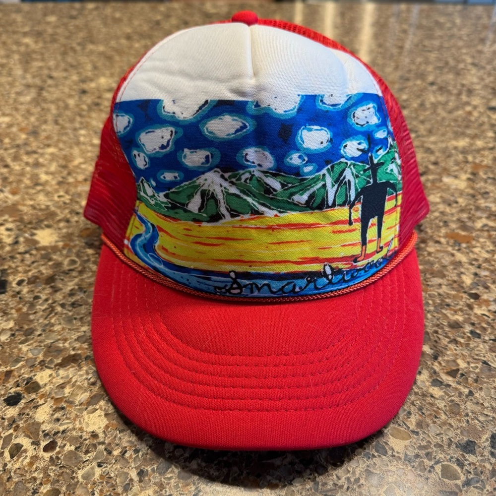 NWT: Smartwool RT Scene Trucker Hat